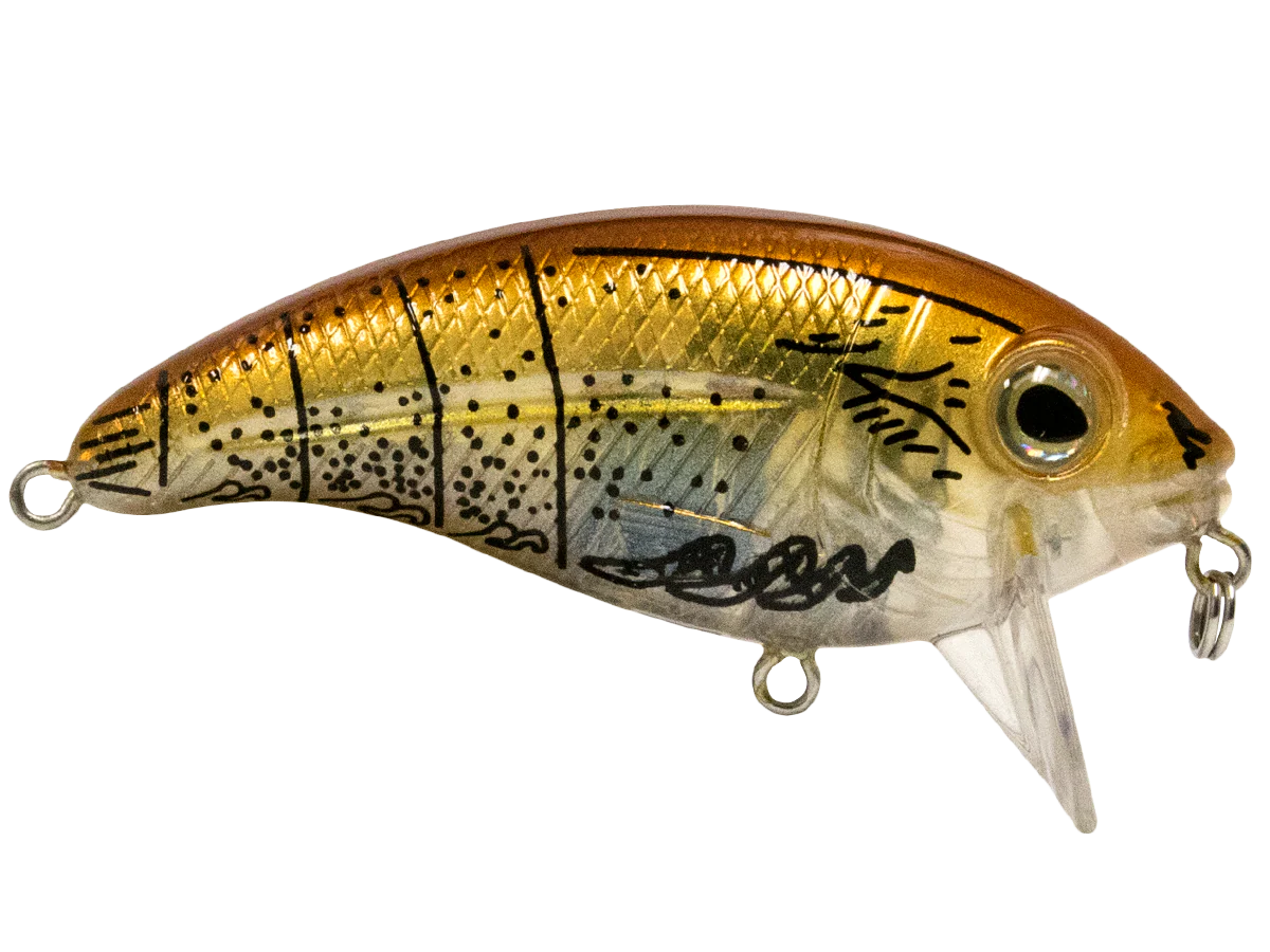 Bull Nose SW - Image 31