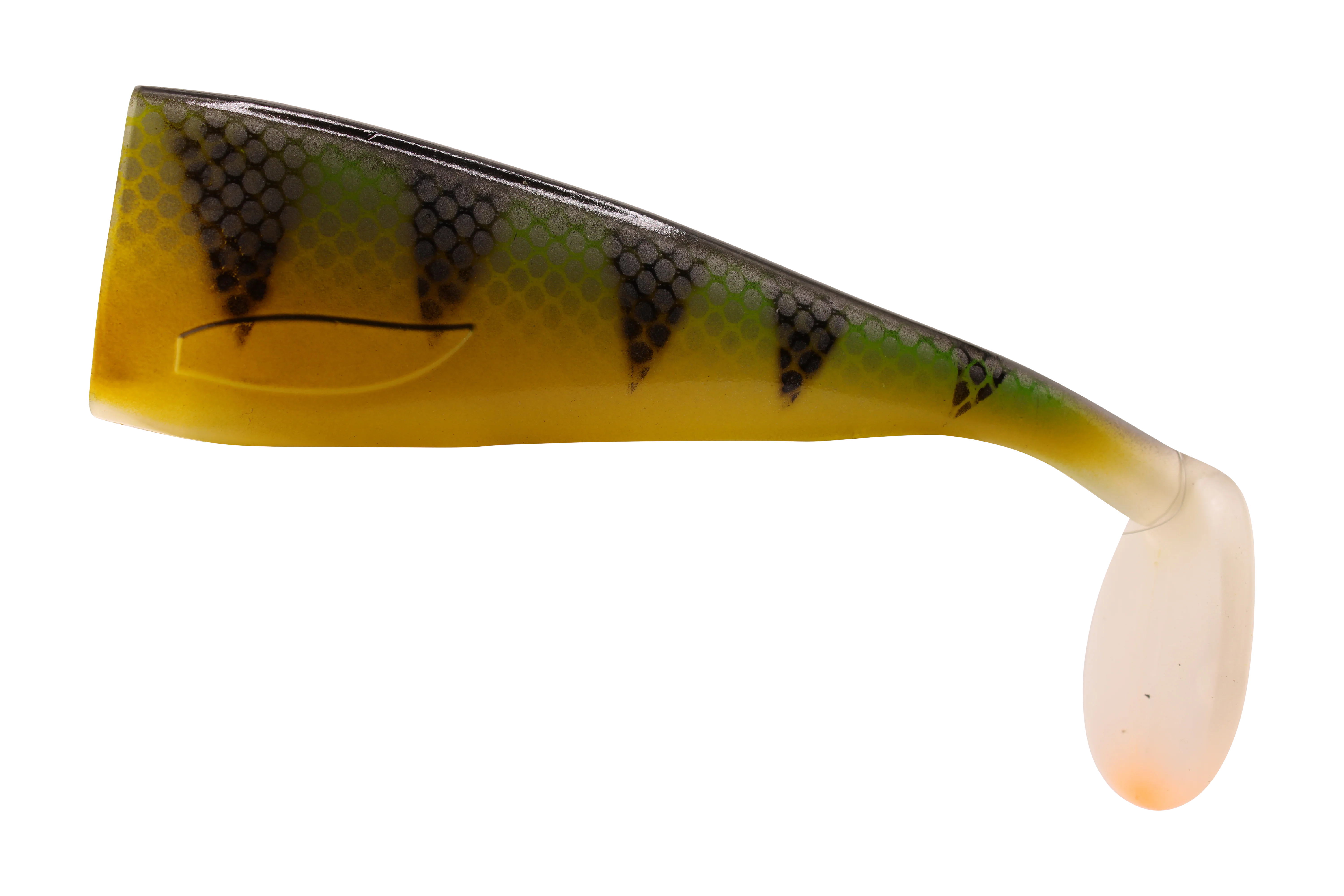 TIGER MUSKIE