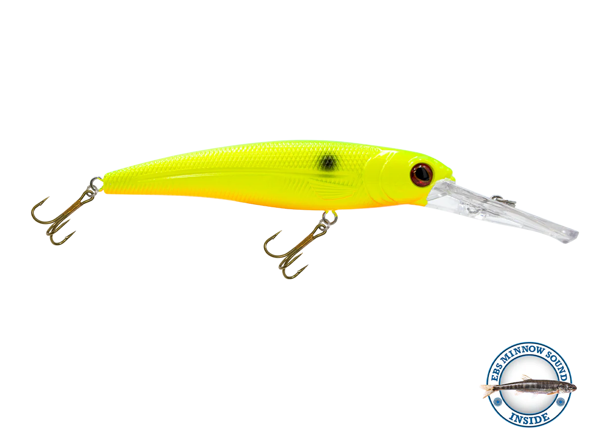 Voyager 15 Walleye