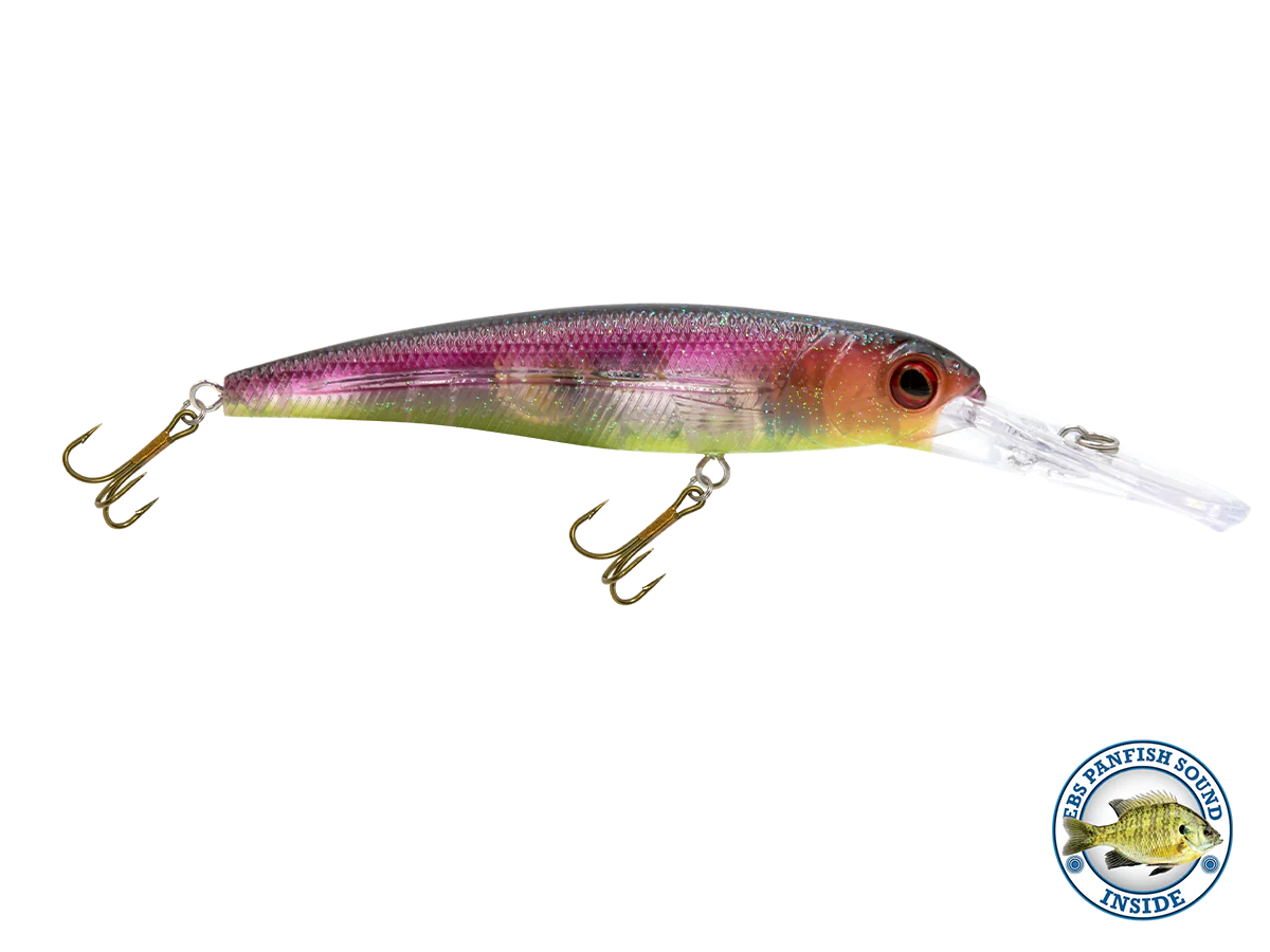 Voyager 15 Walleye - Image 10