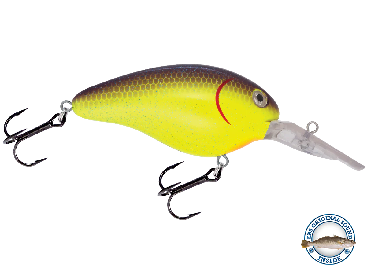 Dive Master 14 - Image 11