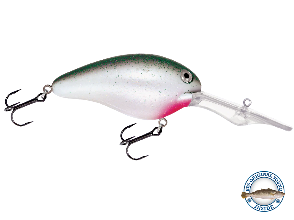 Dive Master 20 - Image 11