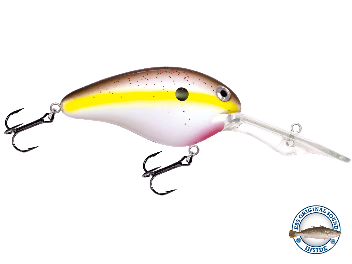 Dive Master 20 - Image 6