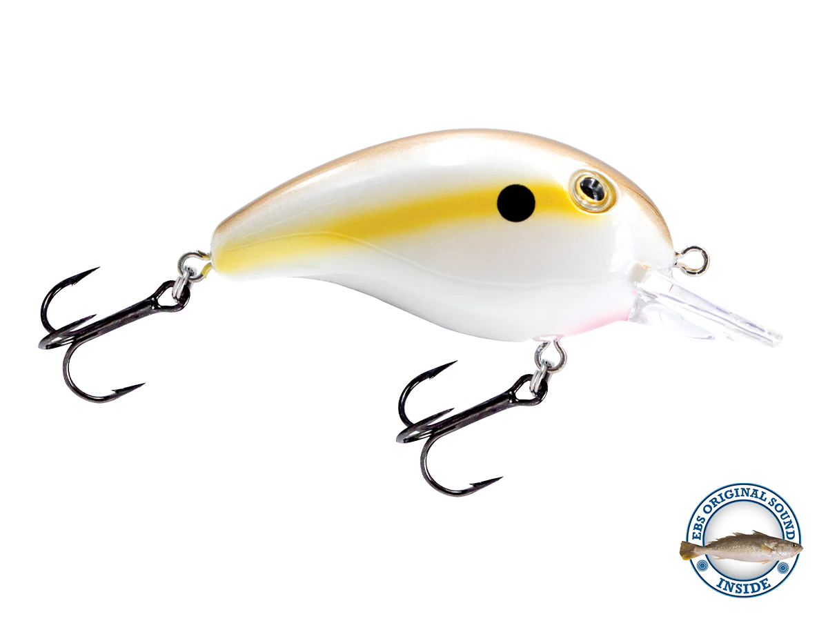 Dive Master Jr - Image 11