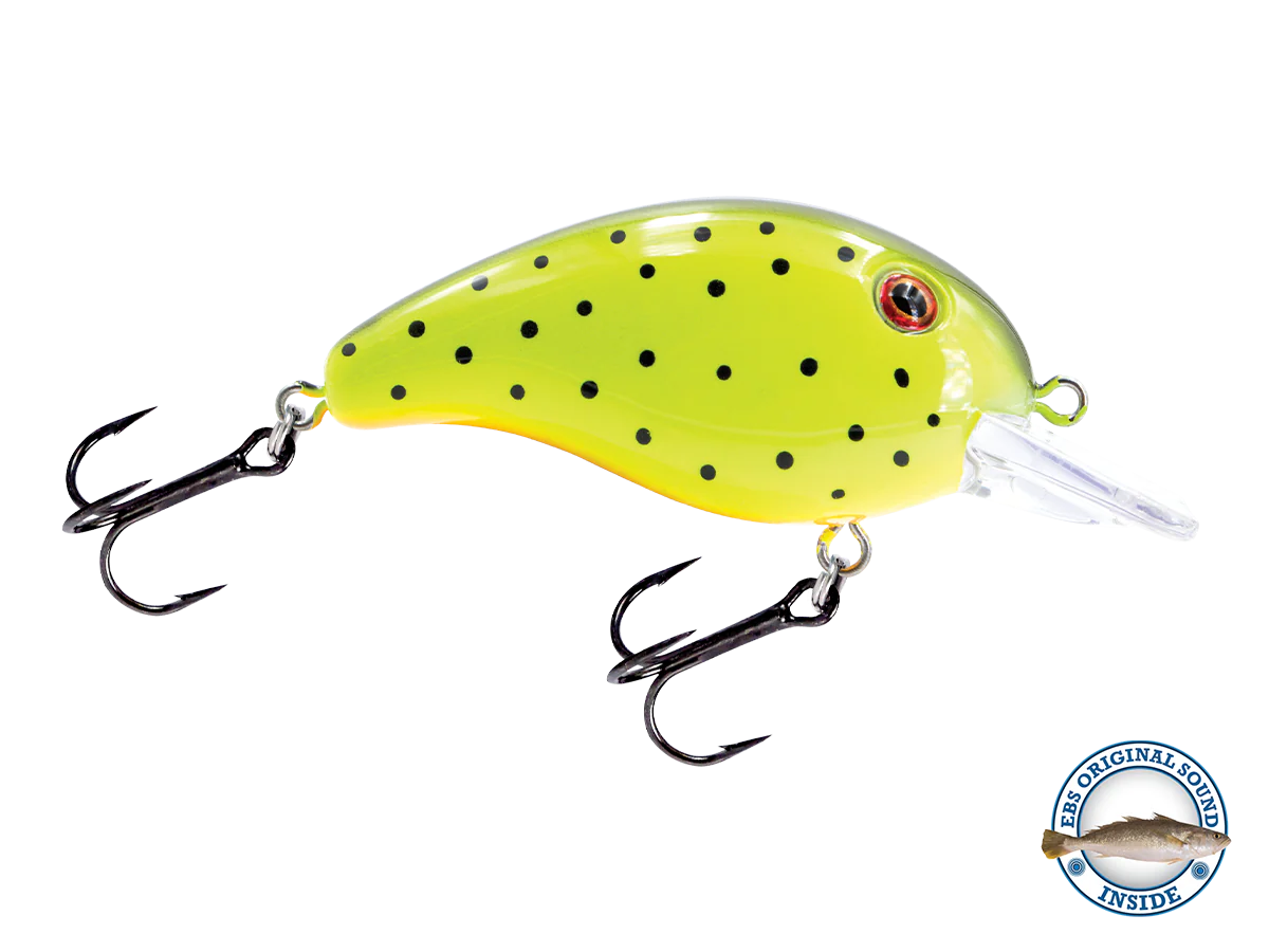 Dive Master Jr - Image 12