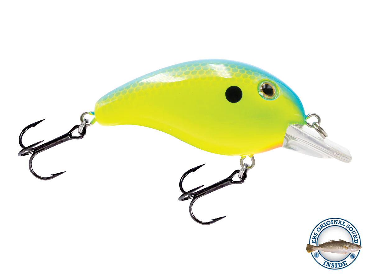 Dive Master Jr - Image 4