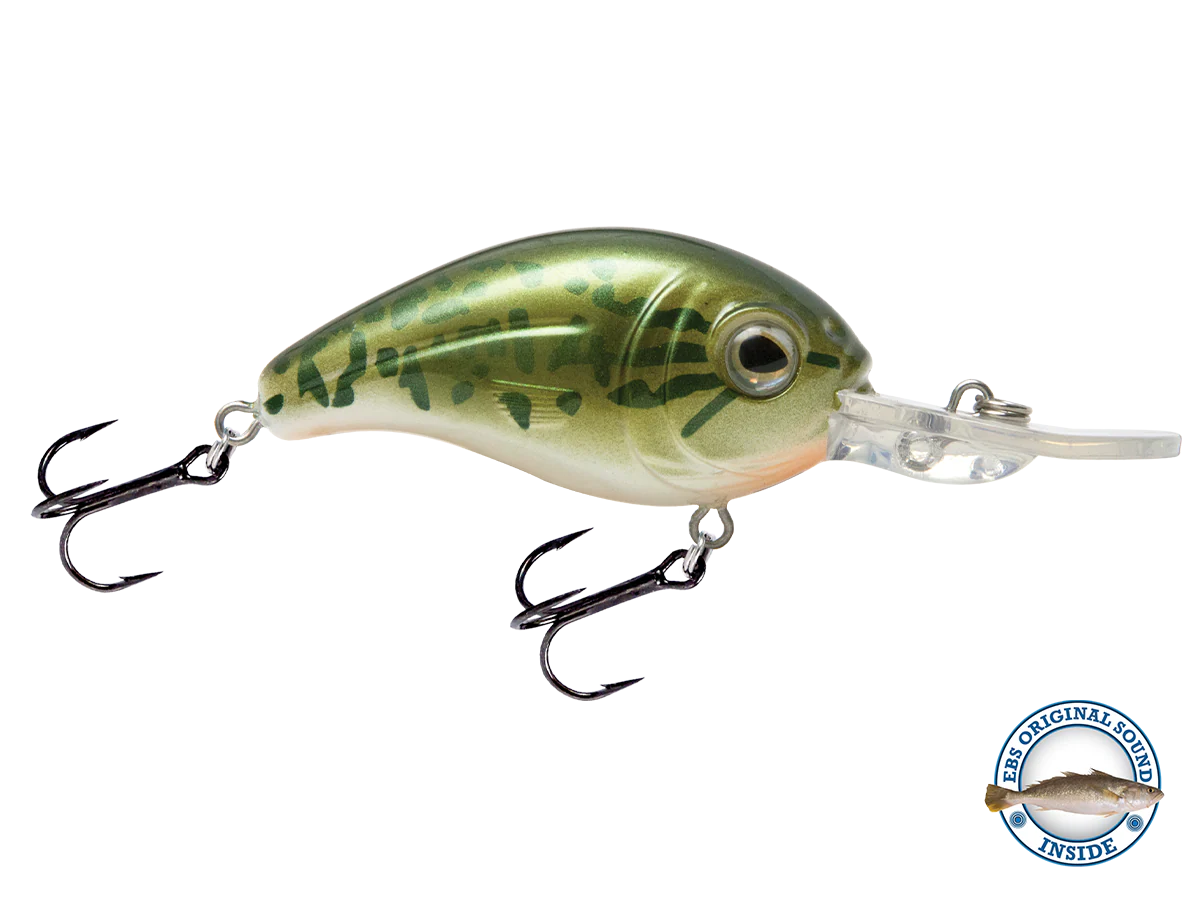 Dive Master Jr 8