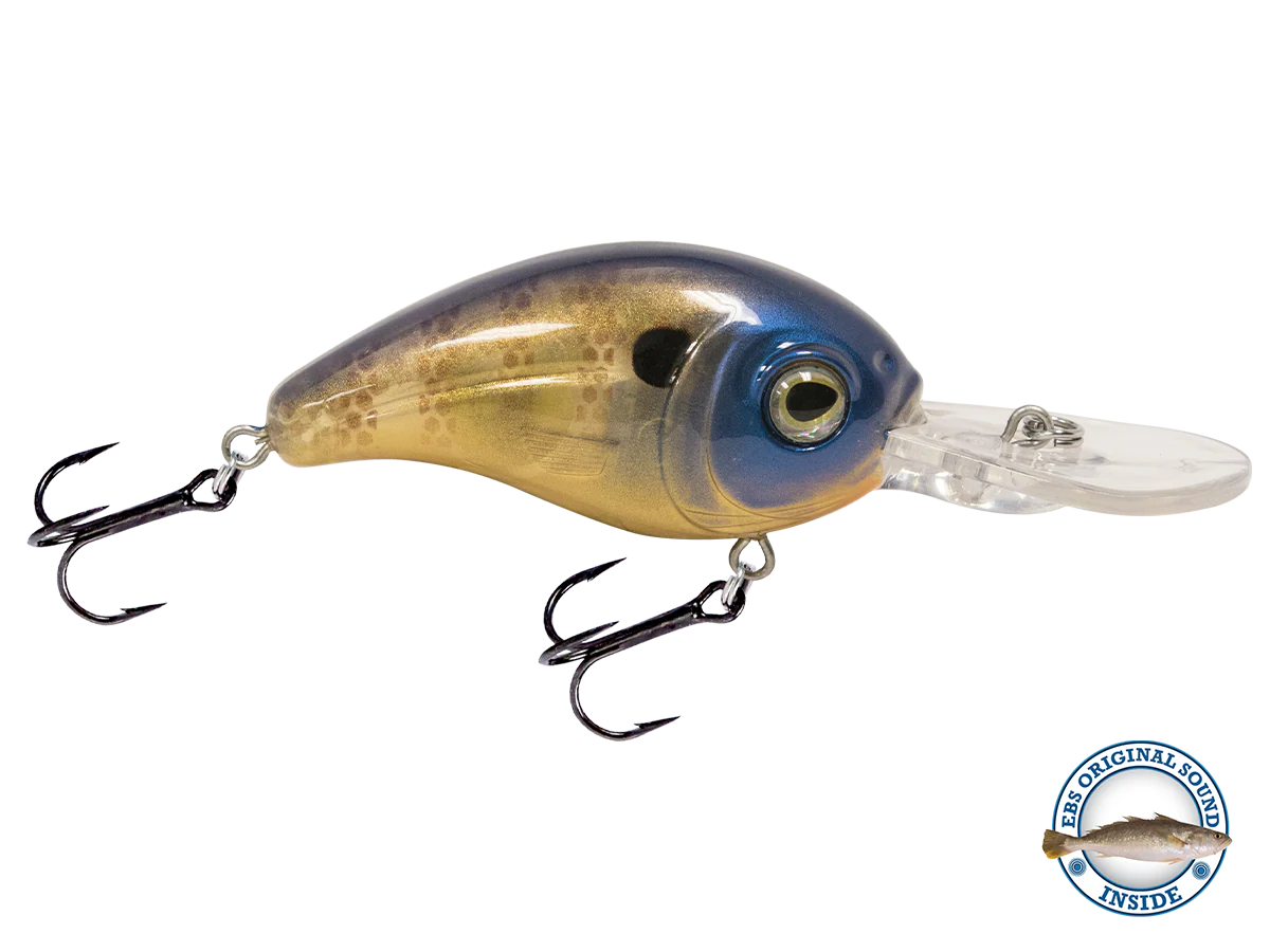 Dive Master Jr 8 - Image 10