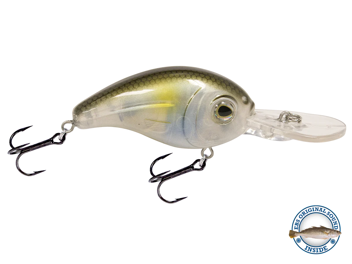 Dive Master Jr 8 - Image 14