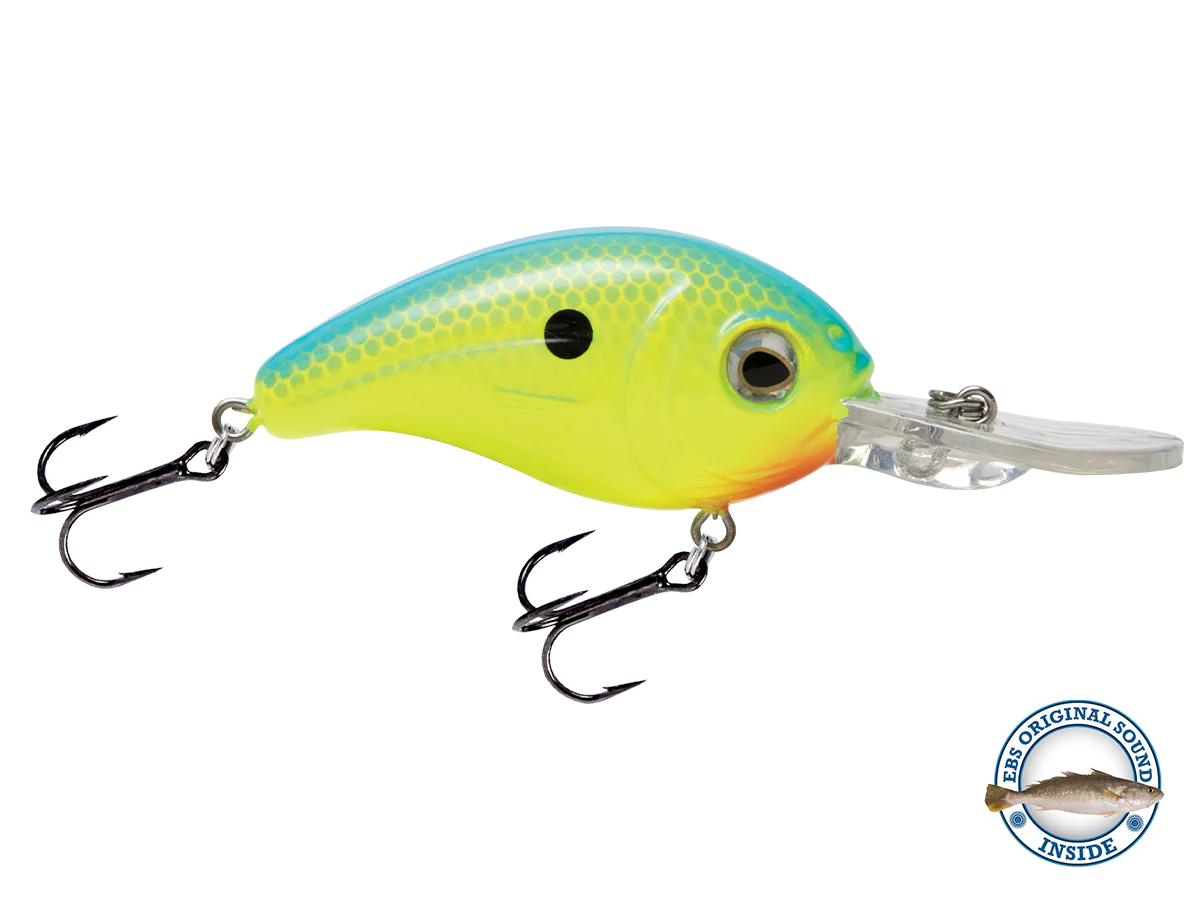 Dive Master Jr 8 - Image 4