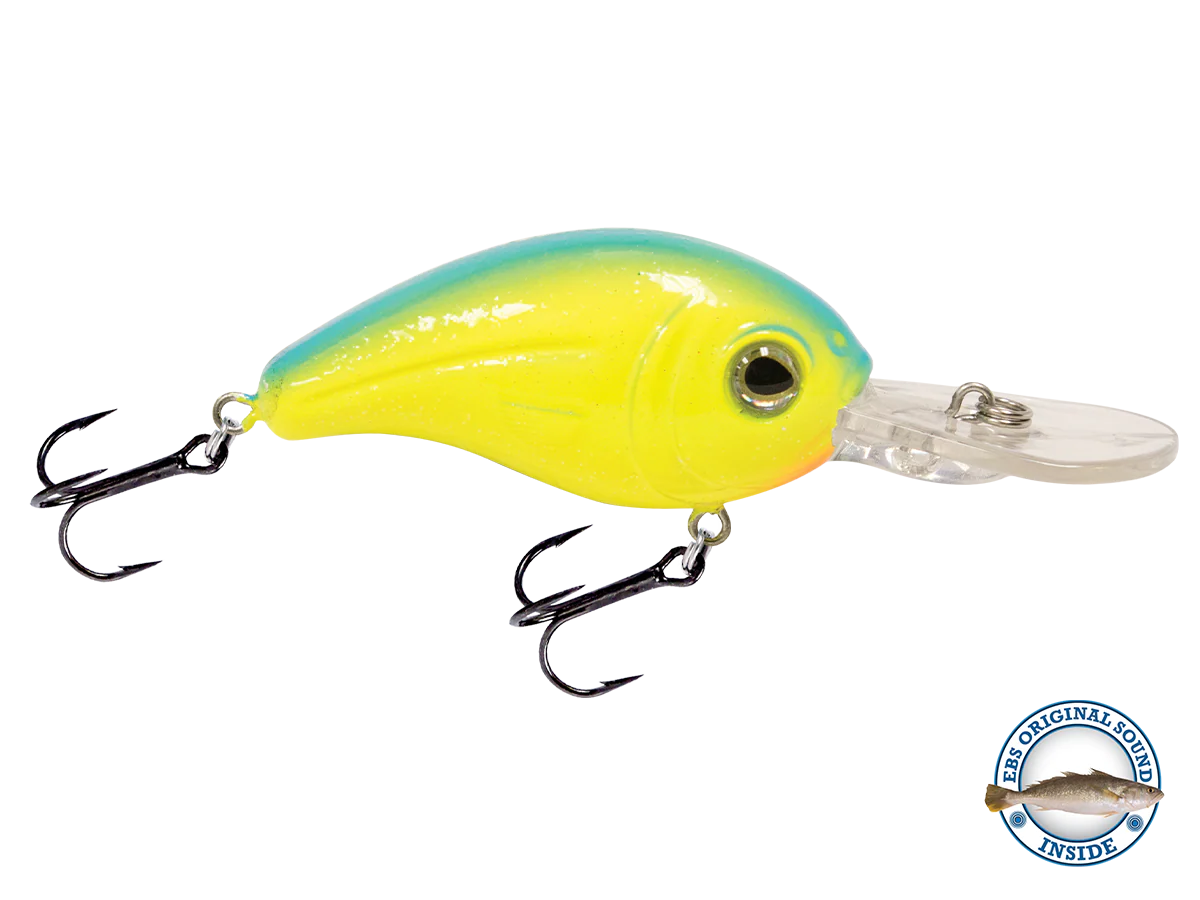 Dive Master Jr 8 - Image 5