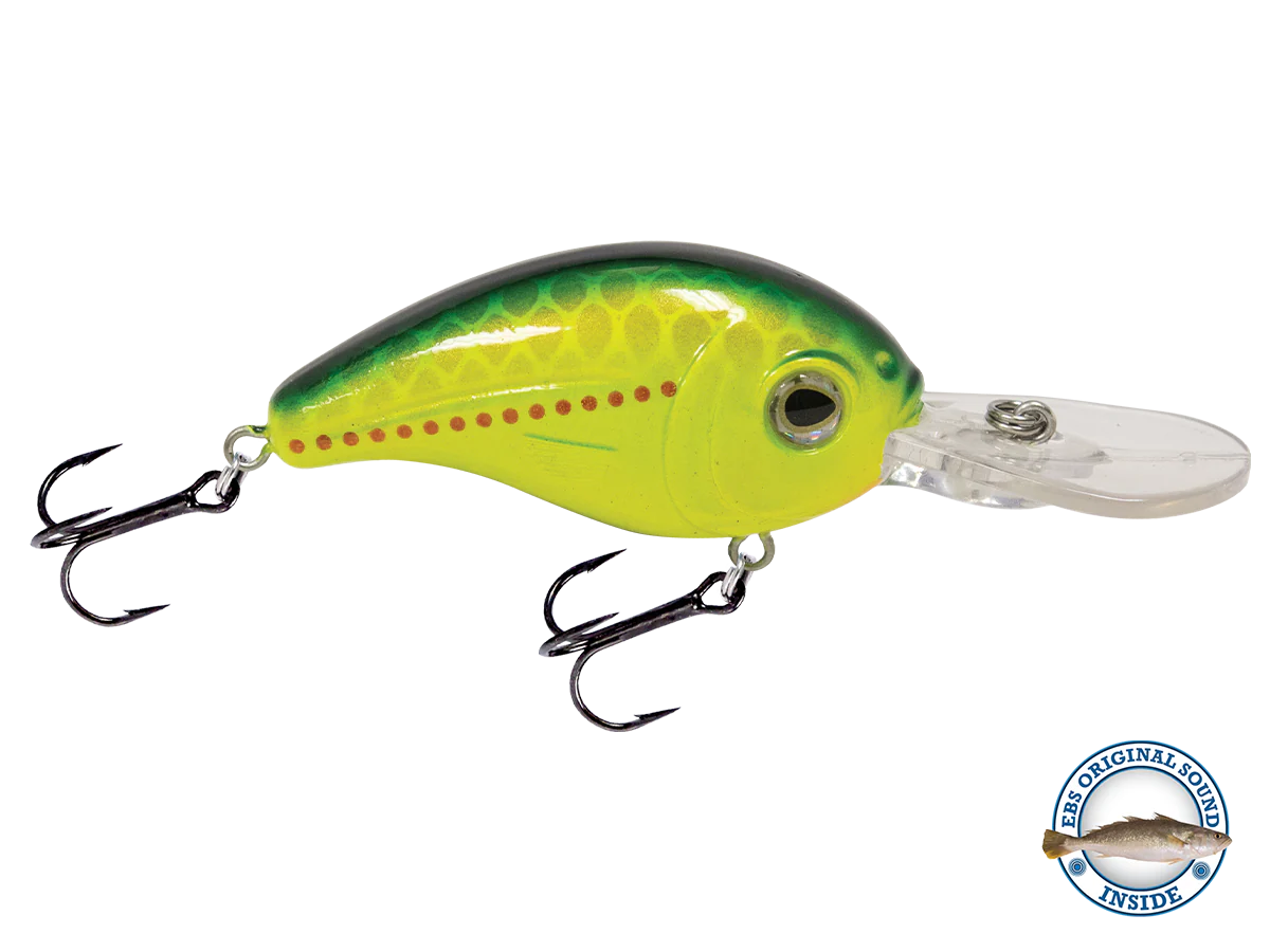 Dive Master Jr 8 - Image 6