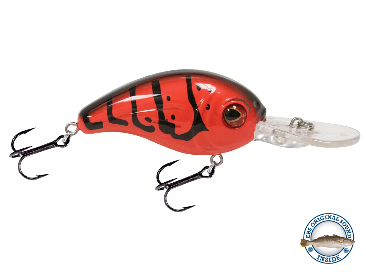Dive Master Jr 8 - Image 9