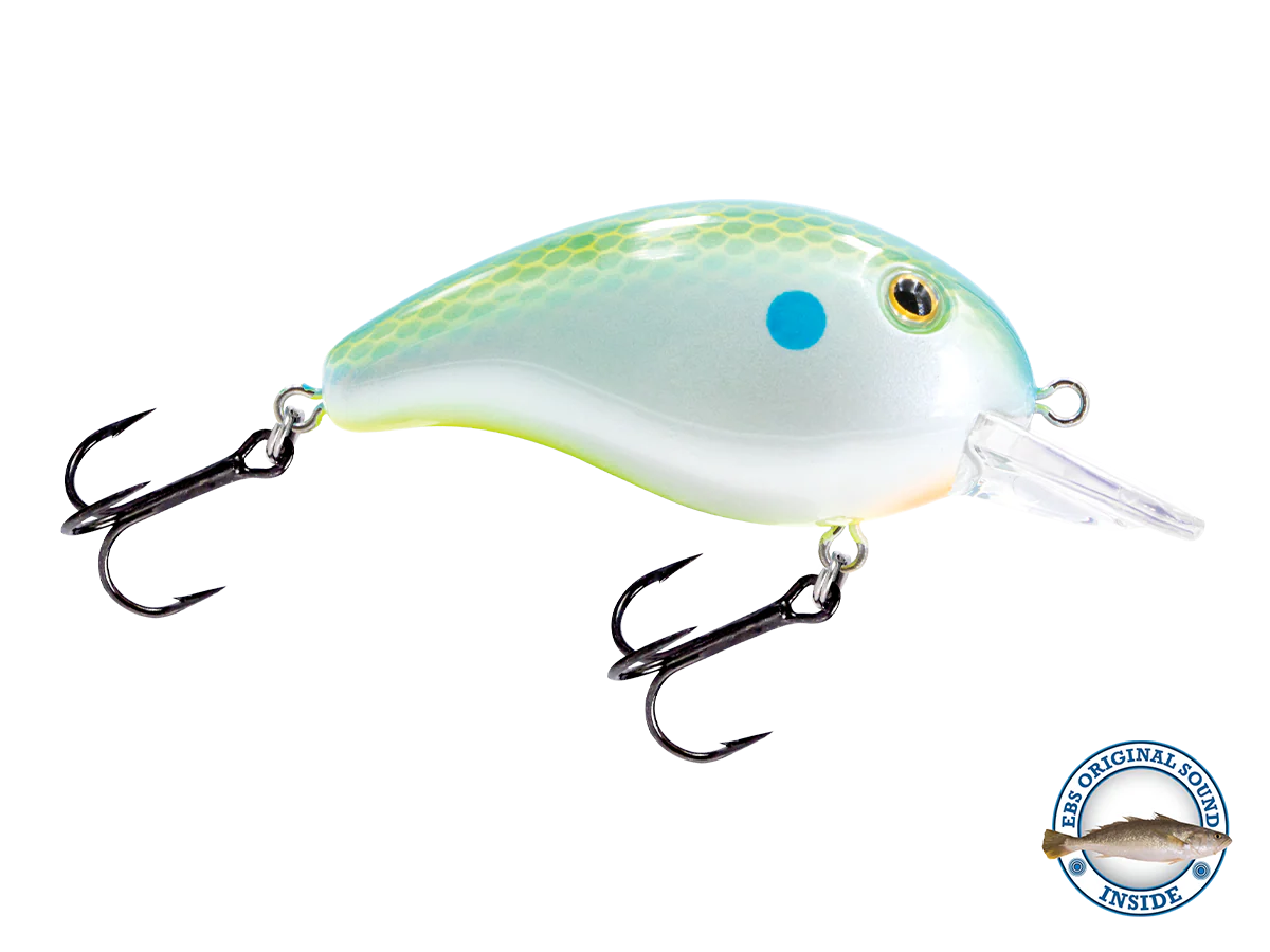 Dive Master Jr - Image 8