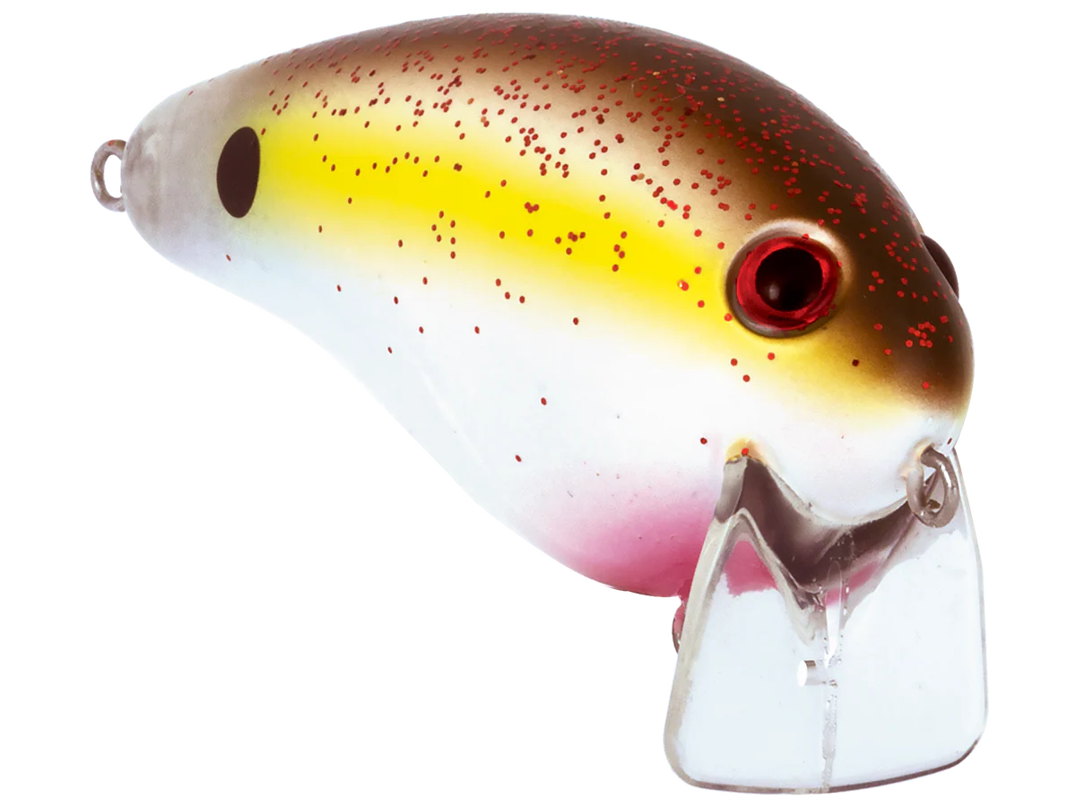 Pro Wake - Image 21