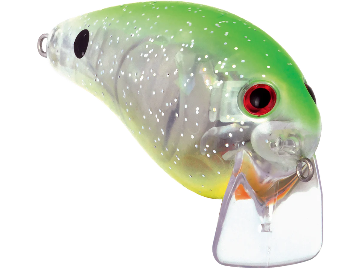 Pro Wake - Image 33