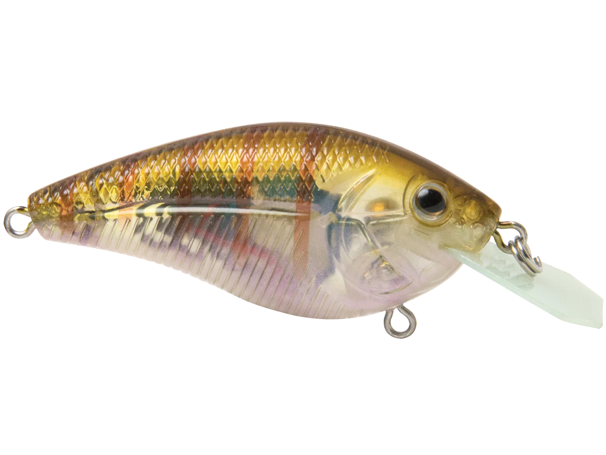Primetyme CB 1.5